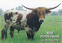 RHF POINT MAN