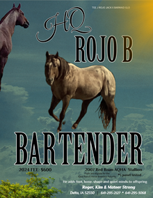 HQ ROJO B BARTENDER