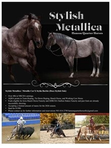 STYLISH METALLICA