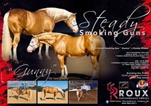 Steady Smoking Guns