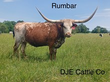 RUMBAR