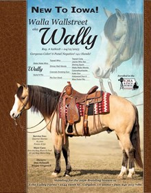 WALLA WALLSTREET
