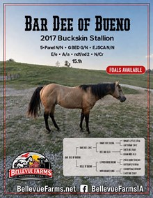 BAR DEE OF BUENO