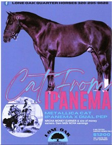 CAT FROM IPANEMA