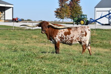 BCR WYNONNA 614