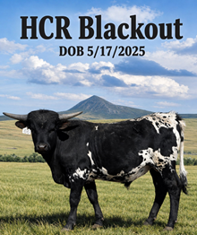 HCR Blackout