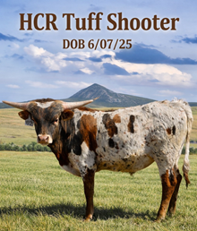 HCR Tuff Shooter