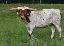 RB Tuff's Generosity