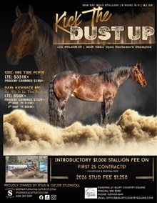 KICK THE DUST UP