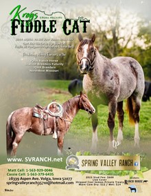 KROGS FIDDLE CAT