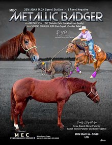 MEC Metallic Badger