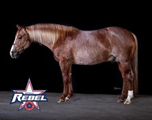 Metallic Rebel