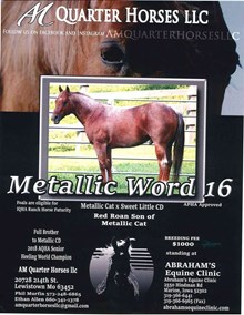 METALLIC WORD 16