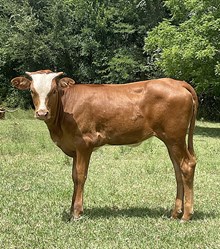r3 Grate's Margo