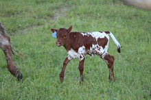 Grande Confetti x Rain Man (b)