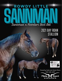 ROWDY LITTLE SANNMAN