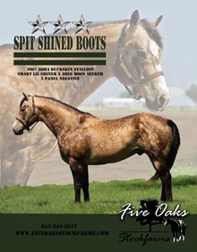 SPIT SHINED BOOTS