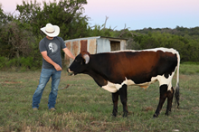 SR Cowboy