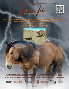 TEXANA TOT