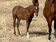 MCR Extra Special