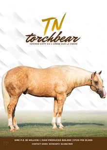 TN TORCHBEARER