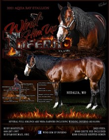 WIND HIM UP INFERNO