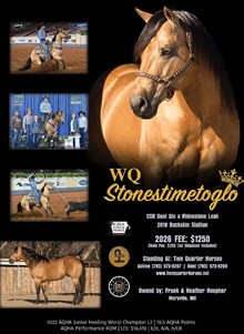 WQ STONESTIMETOGLO